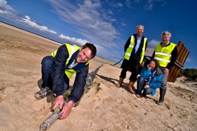 Wave Hub Power Cable at Hayle